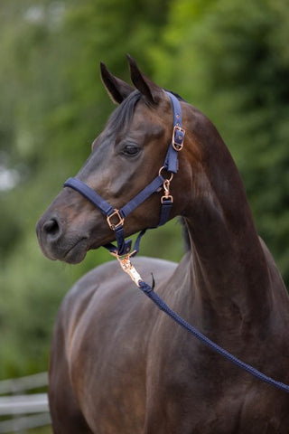 Covalliero Classy Halster