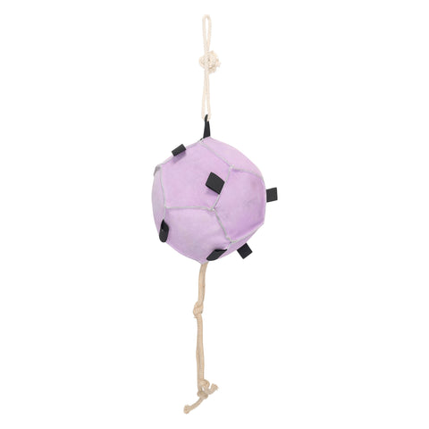 IRH Horse Ball Volley up