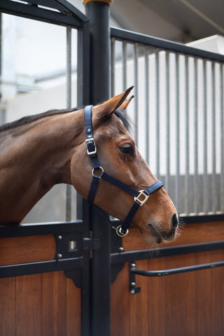 Puissance halster Neopreen Zwart