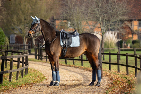 LeMieux Suede Dressage Square