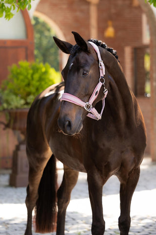 LeMieux Versailles Headcollar