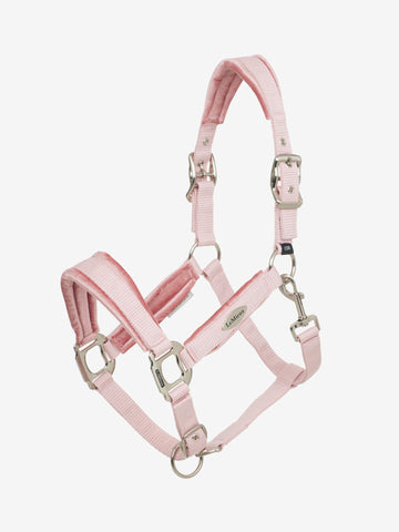LeMieux Versailles Headcollar