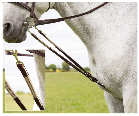 Shires Harbridge training aid