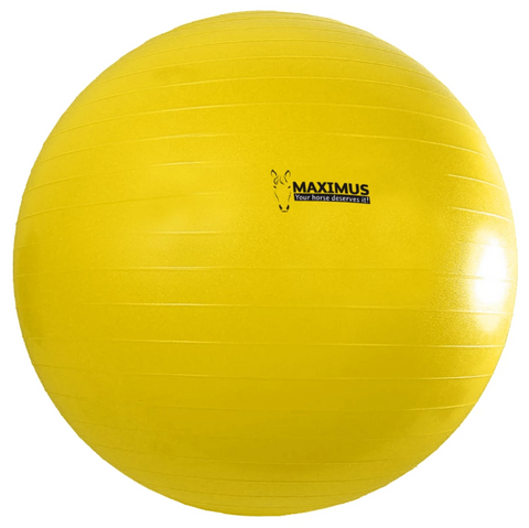 Excellent Power Play Ball 100 cm