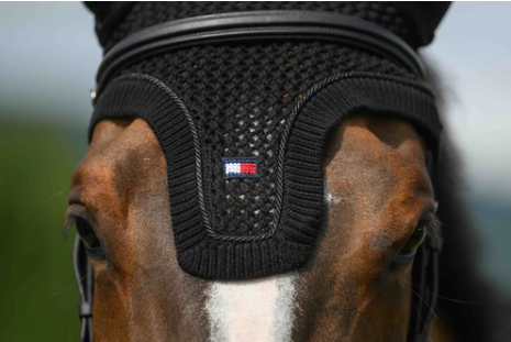 Tommy Hilfiger Liberty Fly Hood