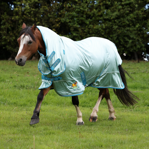 Shires Winnie & Me vliegendeken pony