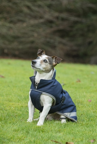 Bucas freedom dog rug 150g