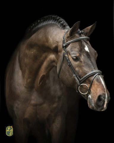 LJ Hoofdstel New Pro gecomb. neusriem - messing gespen