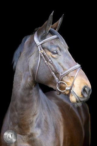 LJ Pro Sel Heritage hoofdstel gecomb neusriem