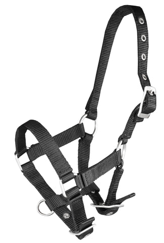 Horka Licol pour Poulain basic