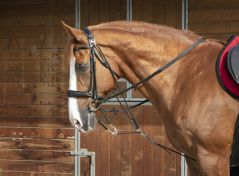 Norton Gogue met katrollen leer