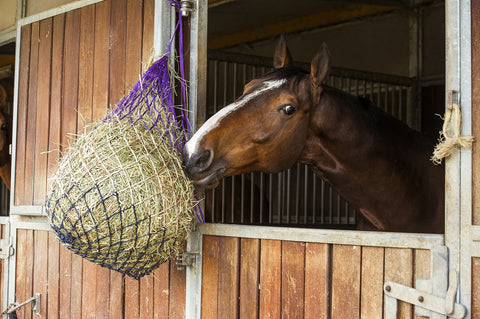 HippoTonic hooinet tricolor zacht