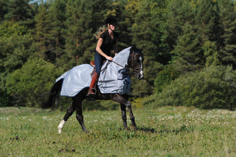 Bucas buzz-off riding