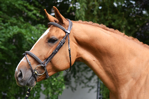 Jump'in crystal hoofdstel met teugels