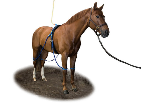 Equine Legcooler Complet 4 pattes