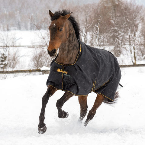 Bucas irish turnout light/50 Big neck