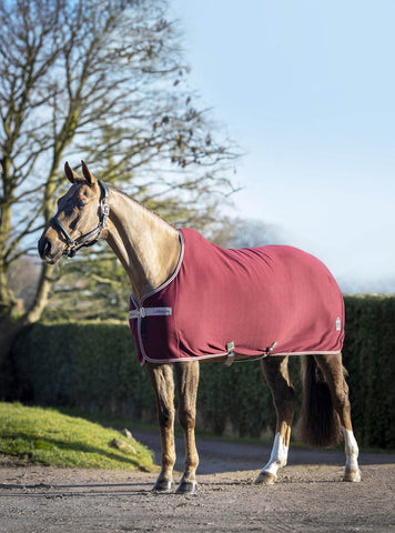 LeMieux Arika Jersey-Tek Rug