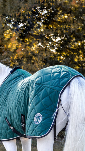 Harcour Tapis Cheval Notebook