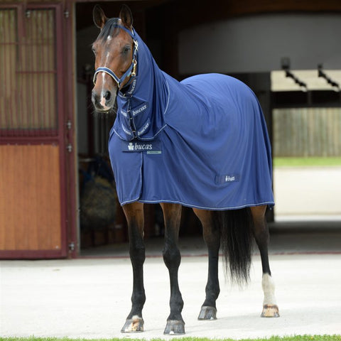 Bucas power cooler full neck