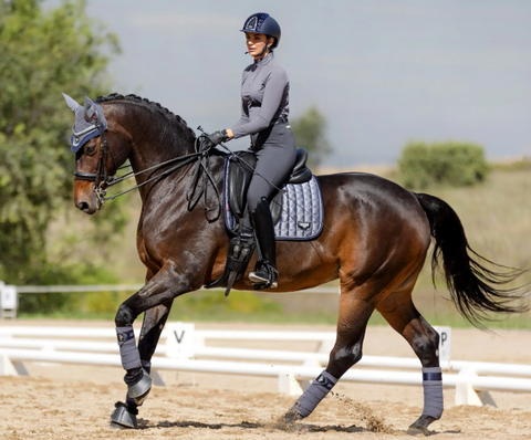 LeMieux Loire Classic dressage Twilight
