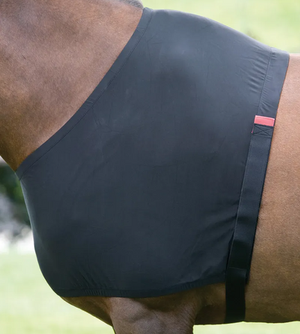 Gilet extensible Shires Anti-Rub