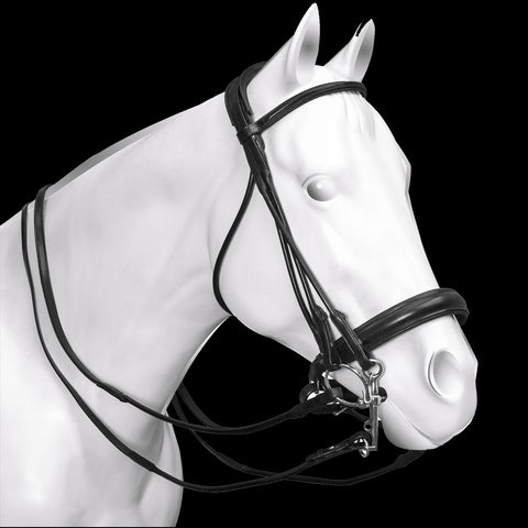 Acavallo bride ronde parnasso