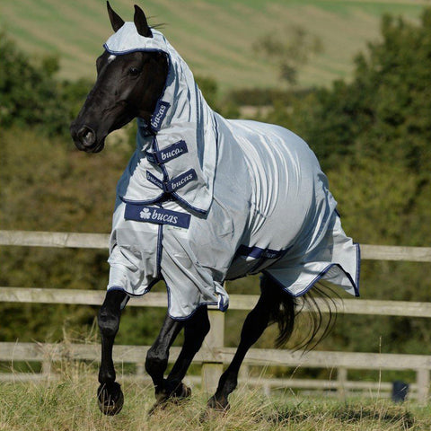 Bucas buzz-off X F/N Big Neck