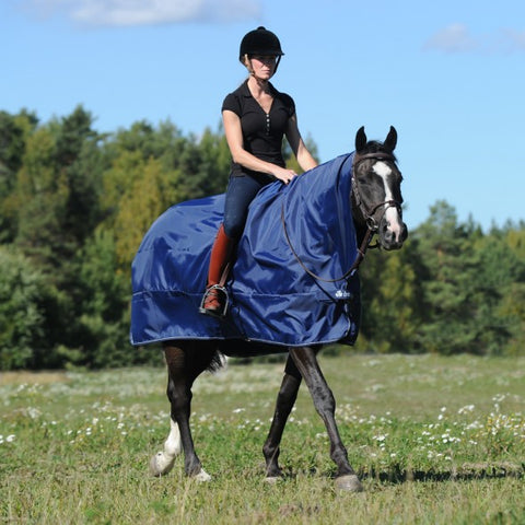 Bucas Rain protector