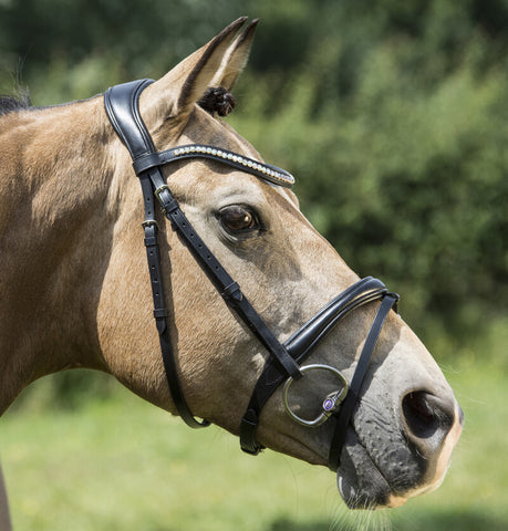 LJ Hoofdstel Iris gecomb. Neusriem met anti-slip teugels