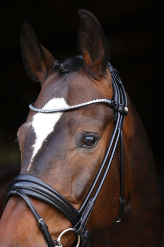 Frontal LJ Bridle Limited Stellux cousu autour