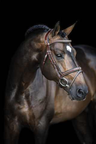 LJ Pro Sel Hoofdstel Legendary gecomb neusriem