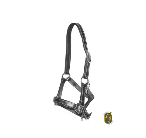 LJ Halter cuir de poulain réglable