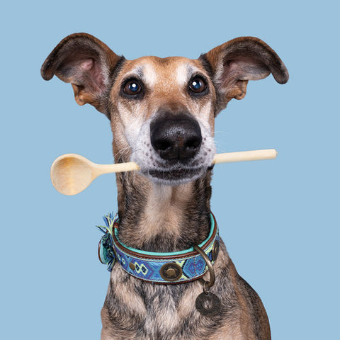 DWAM Boho Juan halsband 2,5 cm