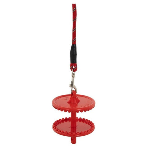 Likit holder for lick stone