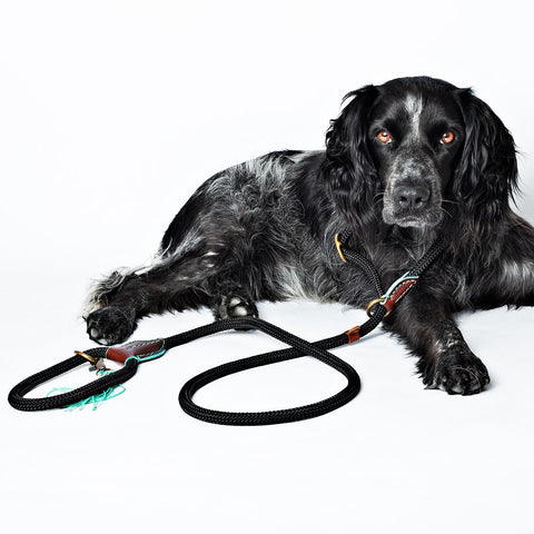 DWAM leash Long John