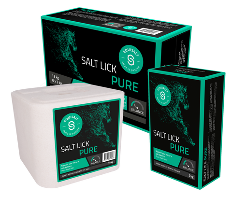 Equisalt Sel à lécher PURE 2 kg