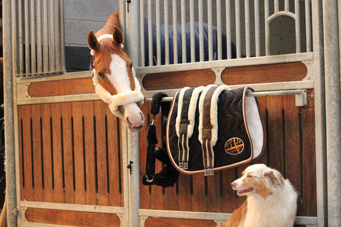 Jump'in one singel met bont