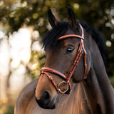 Kavalkade Robin hoofdstel leder