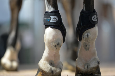 Veredus Young Jump Vento