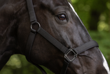 Covalliero Halster