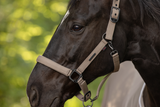 Covalliero Halster