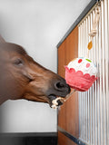 LeMieux Horsetoy Cupcake