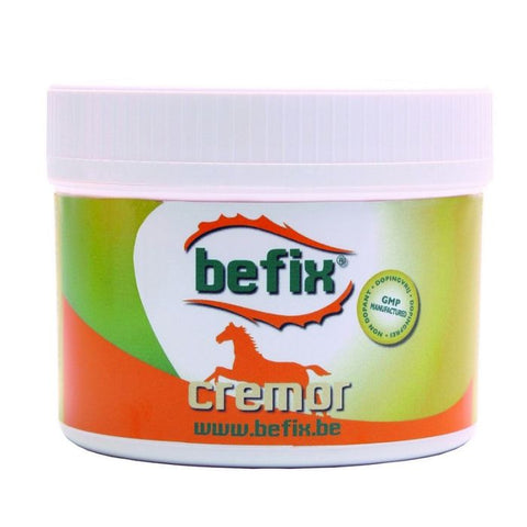 Befix Cremor No Itch 500g