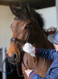 Carr & Day & Martin Belvoir Tack Cleaning handschoen