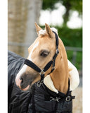 HB Showtime Velvet halster Shetland