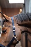 Puissance halster Neopreen Zwart