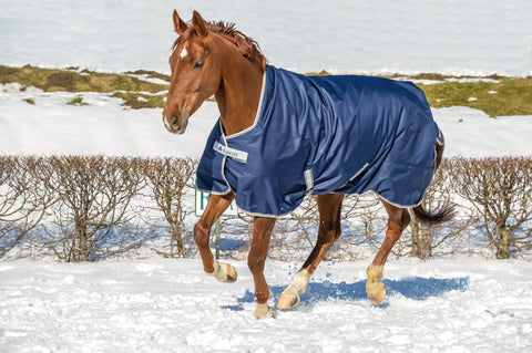 Bucas freedom turnout 150 Navy/Silver