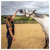 Horslyx Original Mini 650g