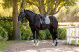 LeMieux Suede Dressuur zadeldek