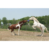 Jolly Ball met smakelijke geur 25 cm